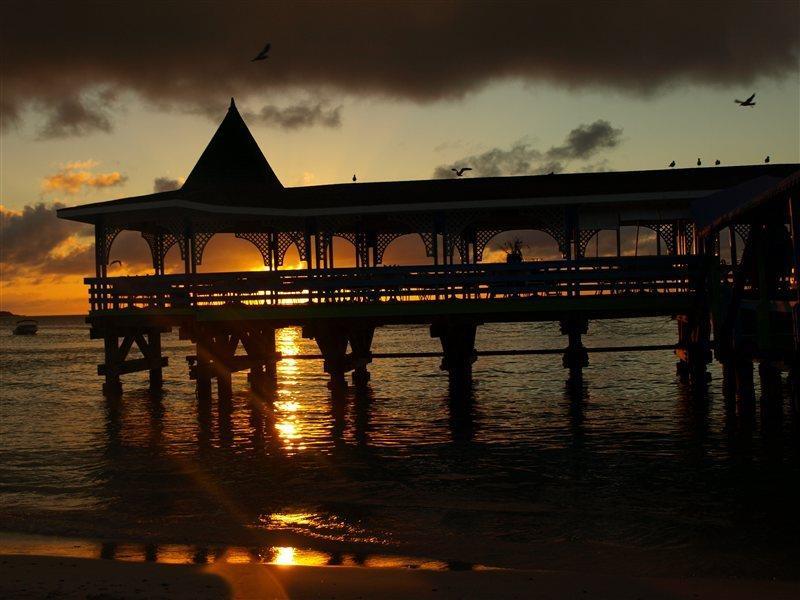 Hotel Starfish Halcyon Cove Dickenson Bay Exterior foto